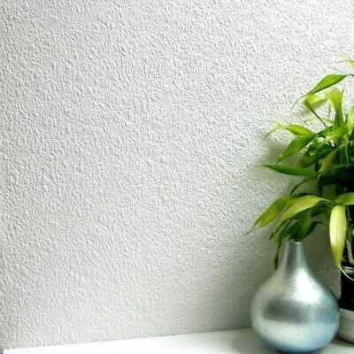 Textured wallpaper with a plant next to it