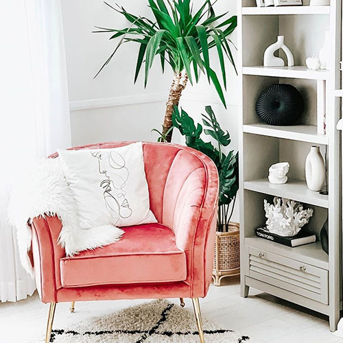 sunny corner featring bookcase filled with black and white ornaments, potted  monserat and yucca in corner, pink velvet accent chair with gold tapered legs, white fluffy throw and cushion.