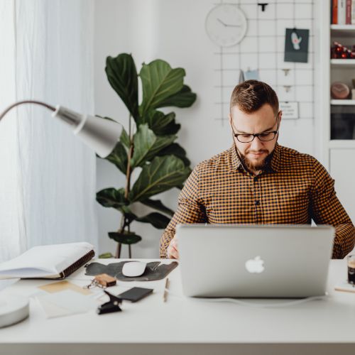 caucasian man sat at desk working on laptop with potted plant behind