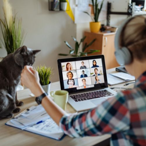 working from home - blonde person with back to camera on work video call, wearing headphones at a table, petting cat.