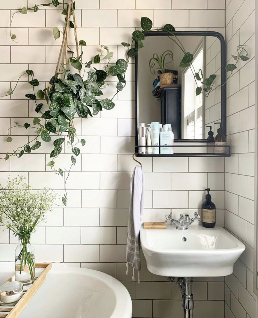 Don’t overlook the bathroom when starting an indoor garden, @thehousethatjenbuilt shows how plants can be perfect for a bathroom.