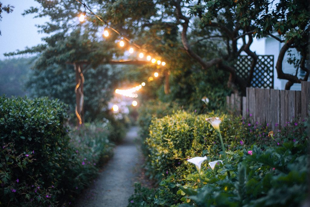 A garden path with overhead lighting during sunset