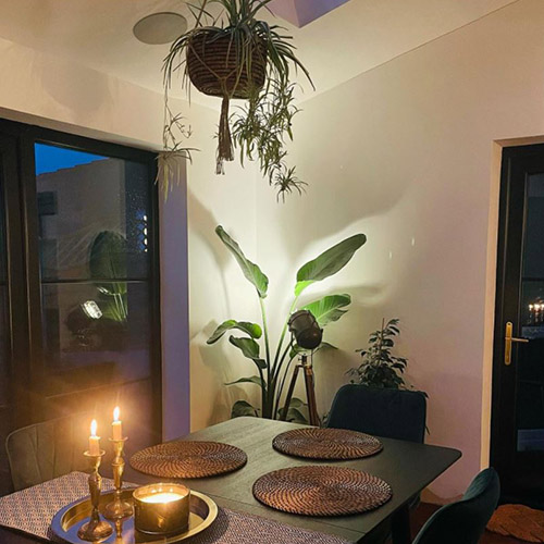 dining room at night - white walls, black framed windows, lots of green leafy potted plants, black wood table with green velvet dining chairs. 