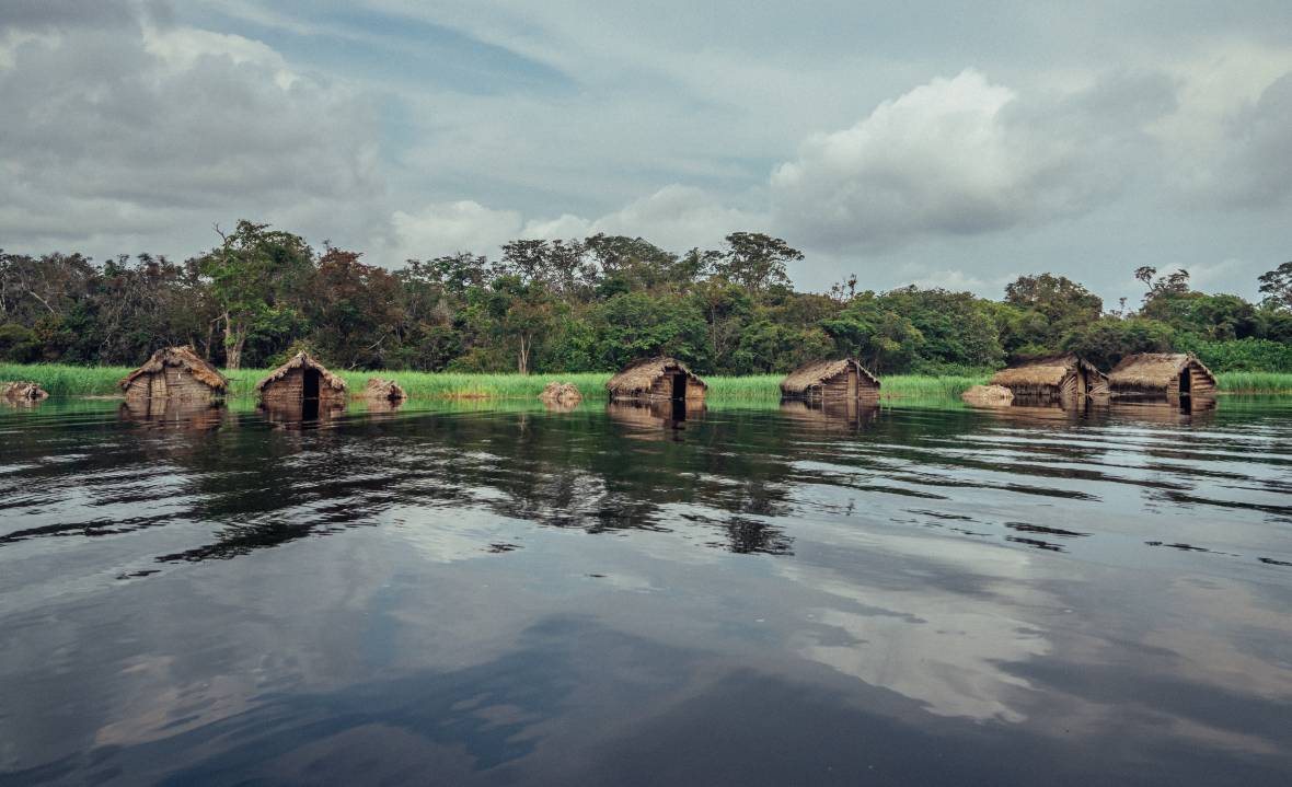 Mai Ndombe Forest Protection