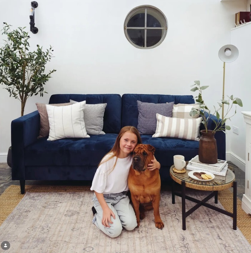 young girl sat next to sharpei bulldog on floor in front of blue velvet 3 seater sofa