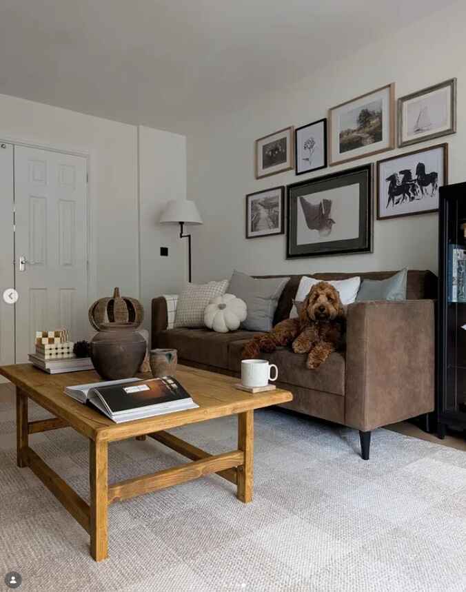 brown fluffy down on brown suede sofa in modern cottagecore inspired living room