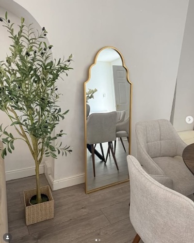dining space with tall potted plant and gold ornate wall mirror acting as room divider with sofa in foreground